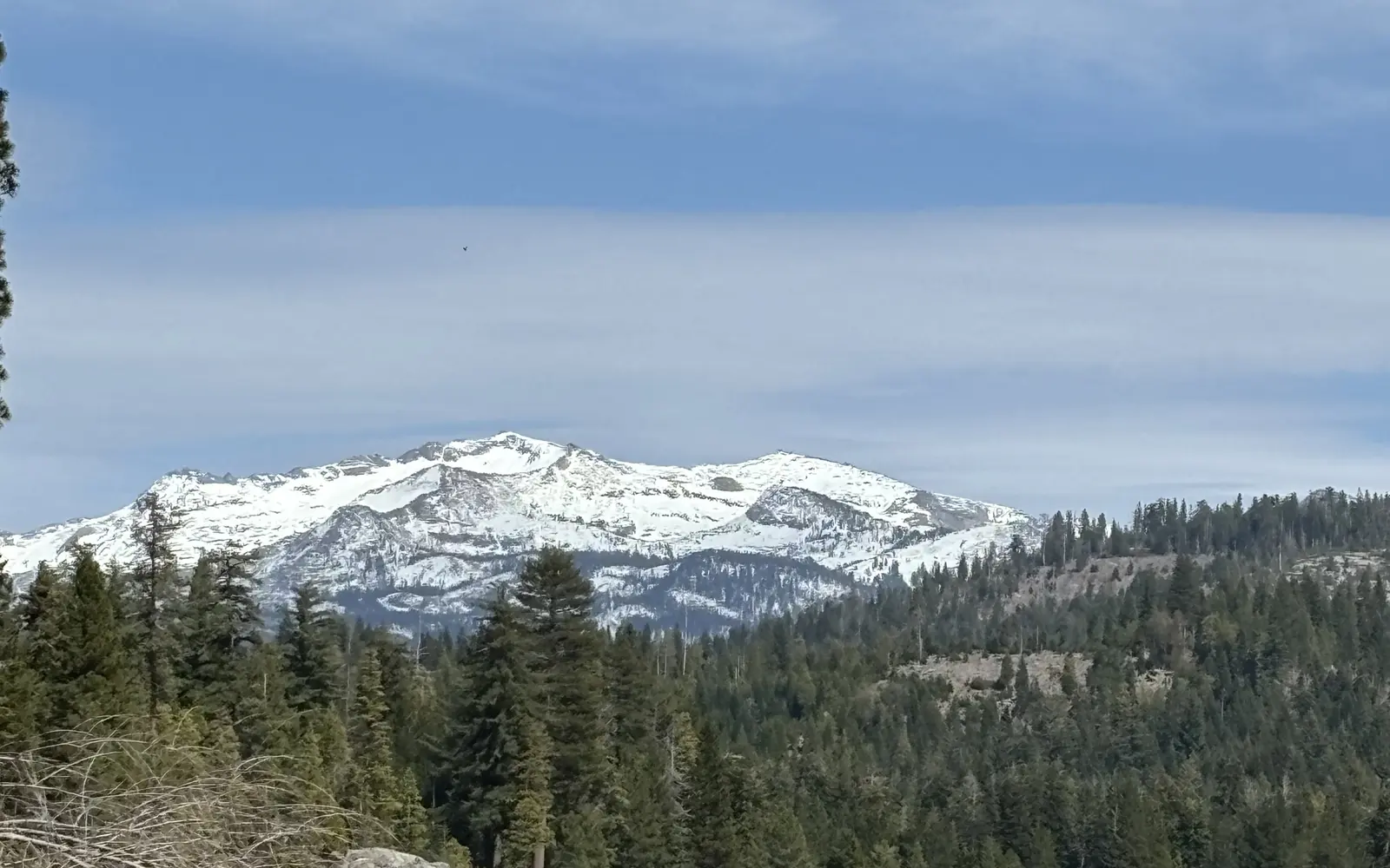 Snow covered Sierra Nevada peaks above a forested mountain lake in El Dorado County high country